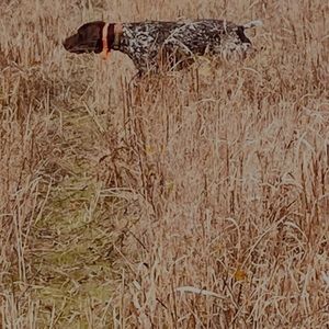 Meet your Posher, Ben